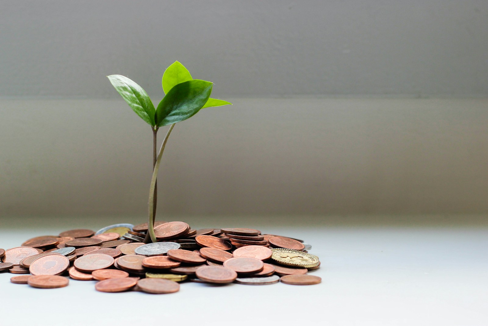 Upward chart representing career guidance, money numerology and business growth